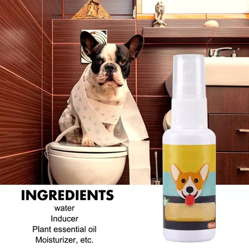⏰Blowout Sale-Pet Potty Here Training Spray(⭐patented product)