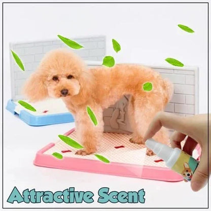 ⏰Blowout Sale-Pet Potty Here Training Spray(⭐patented product)