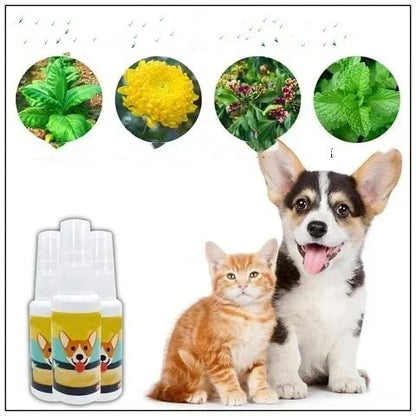 ⏰Blowout Sale-Pet Potty Here Training Spray(⭐patented product)