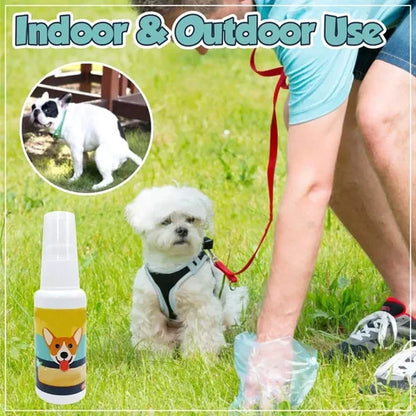 ⏰Blowout Sale-Pet Potty Here Training Spray(⭐patented product)