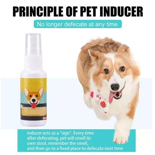 ⏰Blowout Sale-Pet Potty Here Training Spray(⭐patented product)