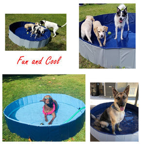 Portable Paw Pool