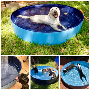 Portable Paw Pool