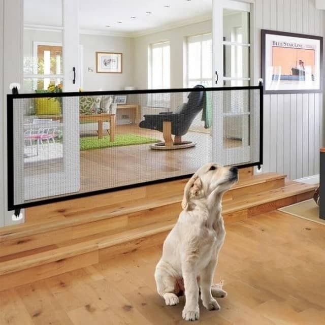 Portable Safety Gate