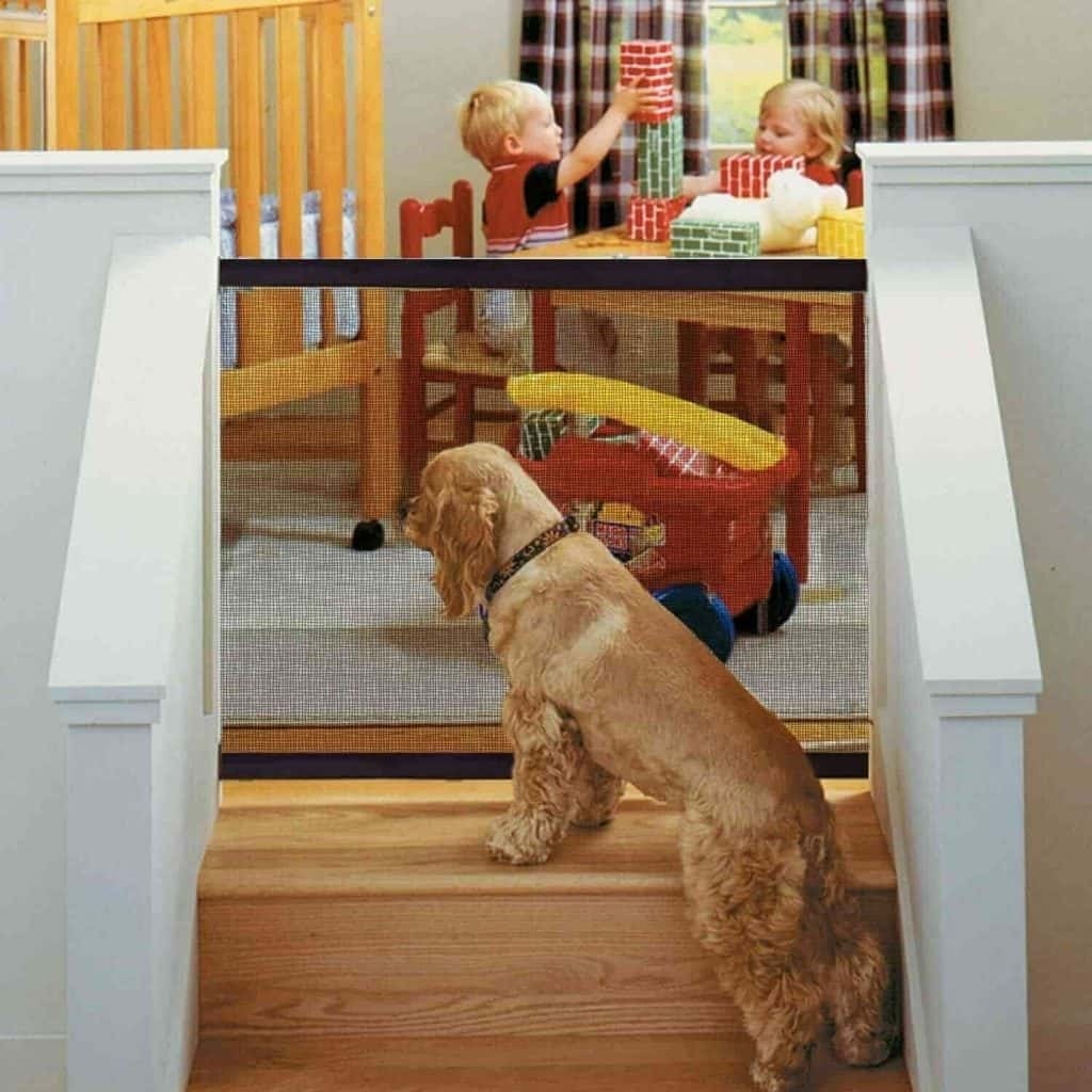 Portable Safety Gate