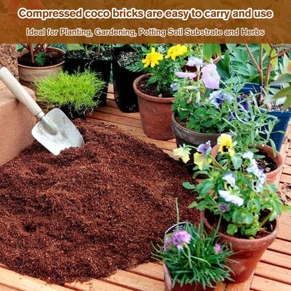 Spring Hot Sale 50% OFF✨ - Premium Organic Coconut Coir Bricks for Plants
