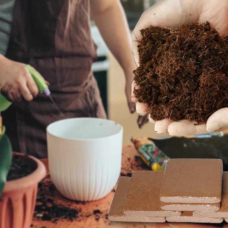 Spring Hot Sale 50% OFF✨ - Premium Organic Coconut Coir Bricks for Plants