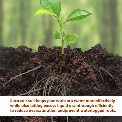 Spring Hot Sale 50% OFF✨ - Premium Organic Coconut Coir Bricks for Plants
