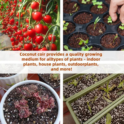 Spring Hot Sale 50% OFF✨ - Premium Organic Coconut Coir Bricks for Plants
