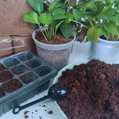 Spring Hot Sale 50% OFF✨ - Premium Organic Coconut Coir Bricks for Plants