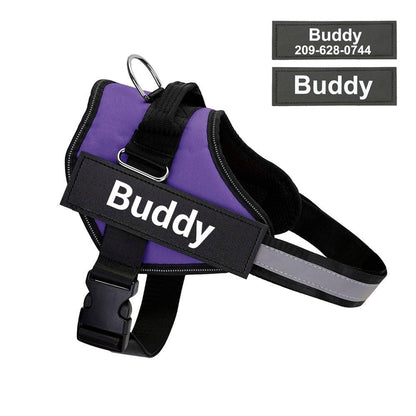 The Original HarnessBuddy Personalized Dog Harness