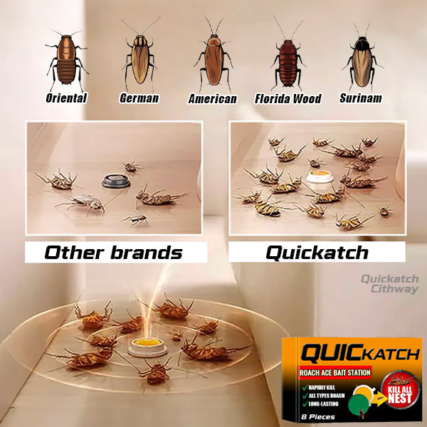 QUICKATCH™ ROACH ACE BAIT STATION
