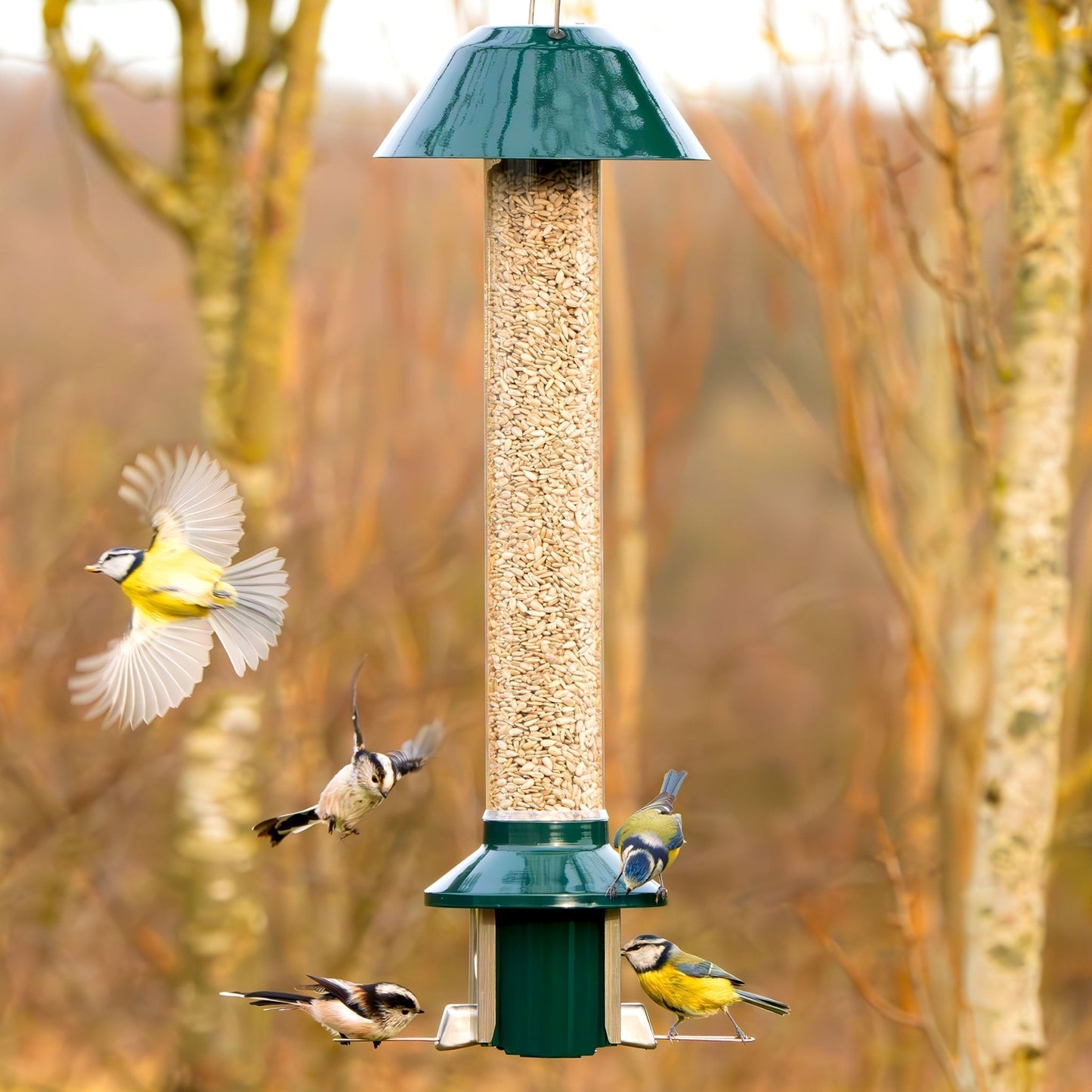 Roamwild PestOff Squirrel Proof Bird Feeder 2.0