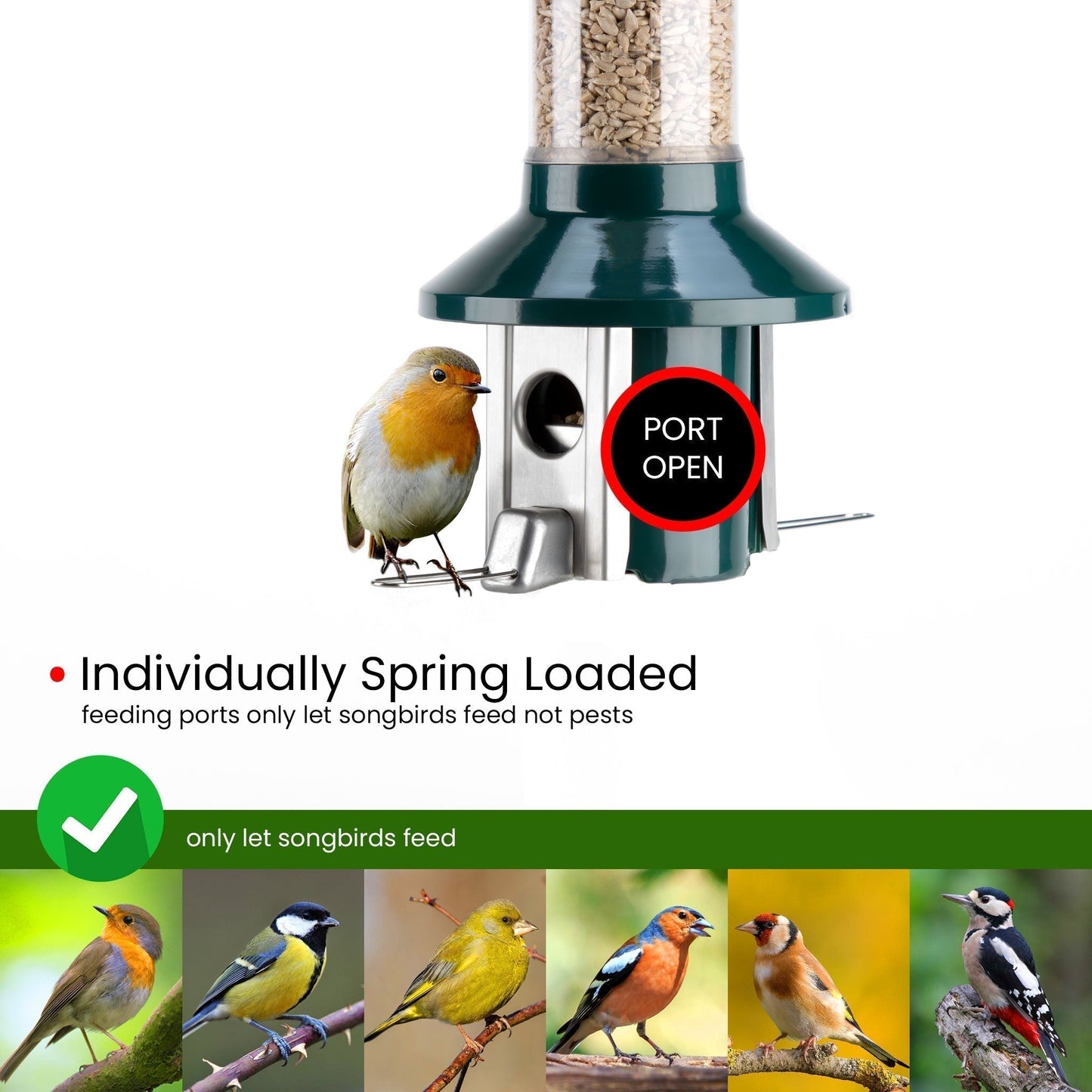 Roamwild PestOff Squirrel Proof Bird Feeder 2.0
