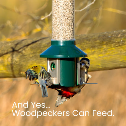 Roamwild PestOff Squirrel Proof Bird Feeder 2.0
