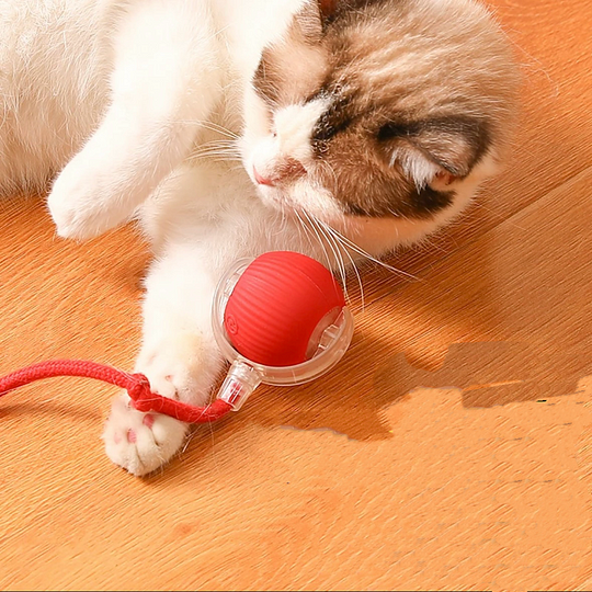 Tug Roll Interactive Dog Ball