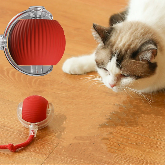 Tug Roll Interactive Dog Ball