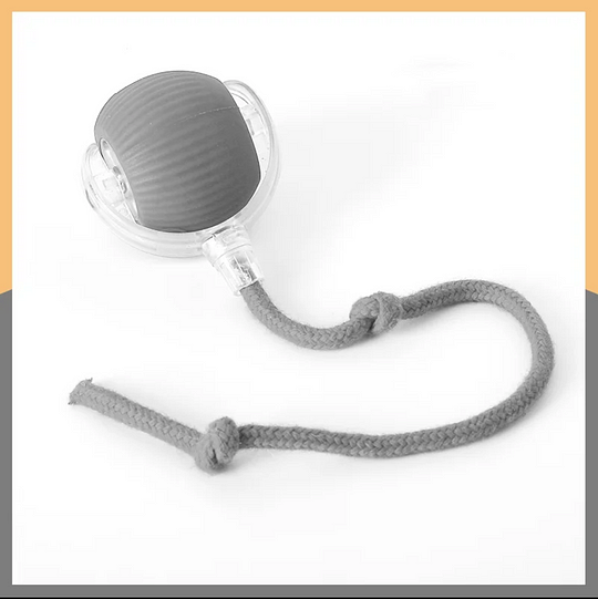 Tug Roll Interactive Dog Ball