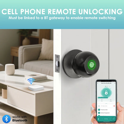 Smart External Door Lock