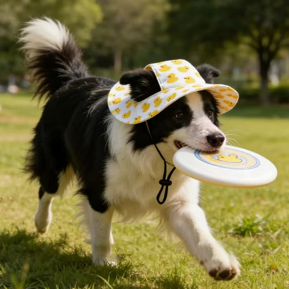 SunnyPaws™ Dog Adventure Bucket Hat
