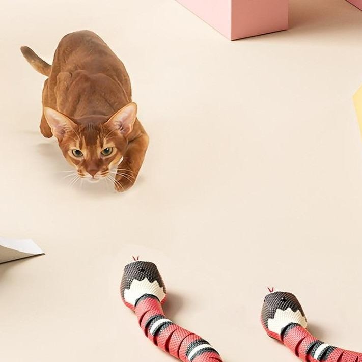 SMART SENSING SNAKE