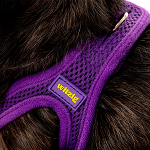 Secure Mesh Harness