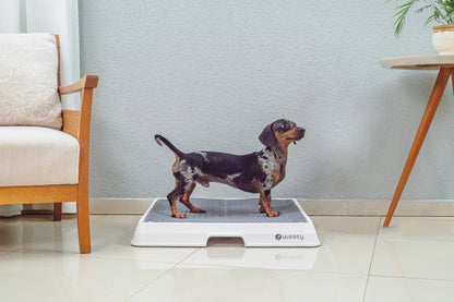 Weasy Smart Dog Potty