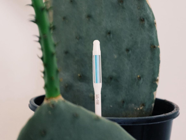 Sustee Moisture Meter - Award Winning Device