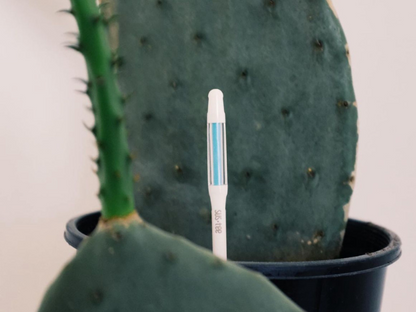 Sustee Moisture Meter - Award Winning Device