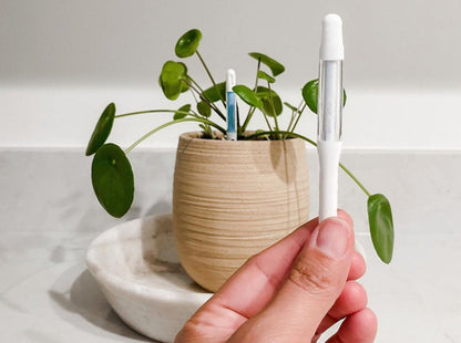 Sustee Moisture Meter - Award Winning Device