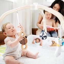 The Play Gym
