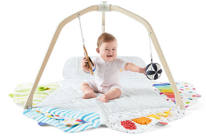 The Play Gym