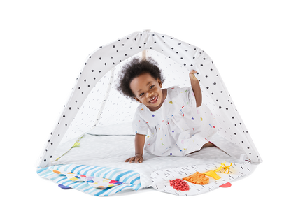 The Play Gym