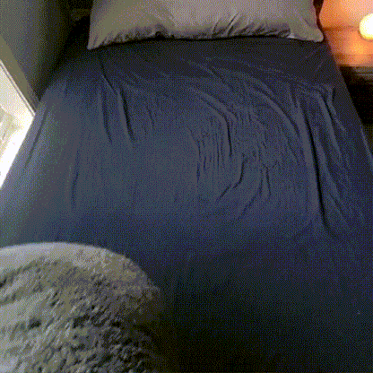 Waterproof Intimacy Blanket