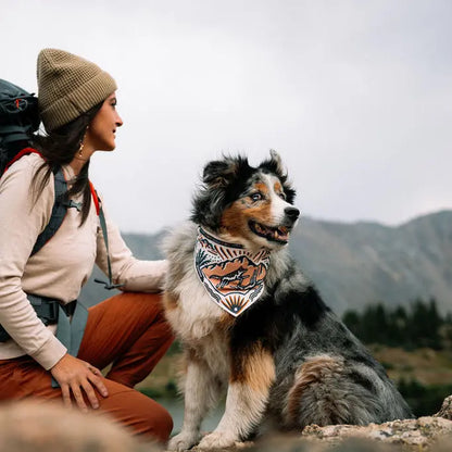 TrailPaws Adventure Bowl Bandana
