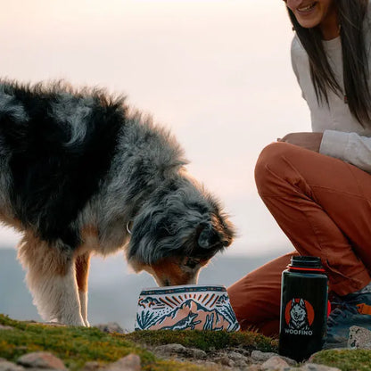 TrailPaws Adventure Bowl Bandana