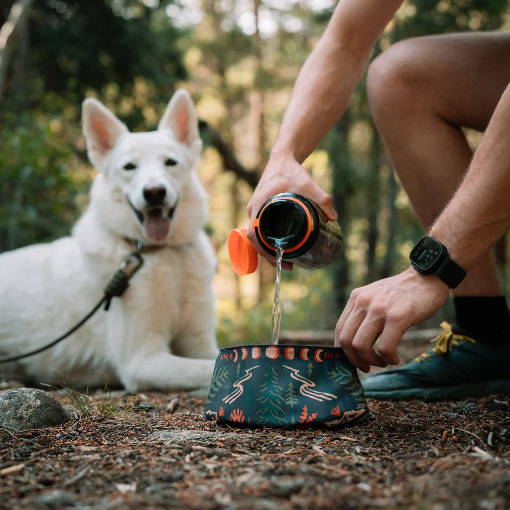 TrailPaws Adventure Bowl Bandana