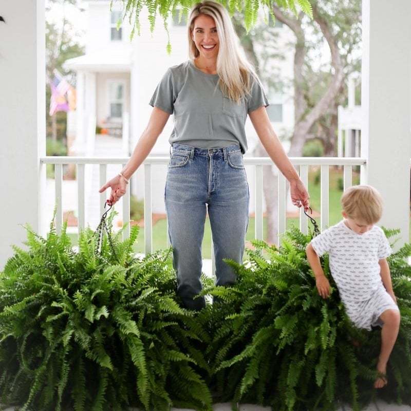 🔥Spring Celebration Exclusive! 🌿Get the UV-Resistant Lifelike Artificial Boston Fern for Just $9.98 🎁 SAVE 75%!