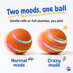 BorkBall Disco