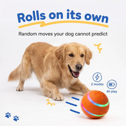 BorkBall Disco