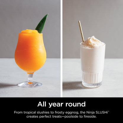 Professional Frozen Drink Maker