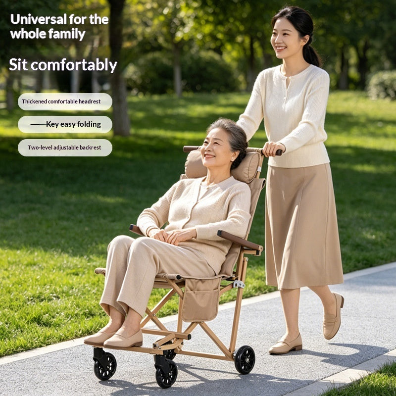 Portable Folding Multifunctional Pushcart For Travel