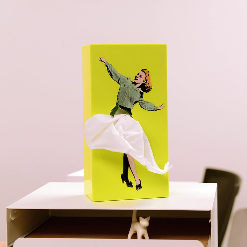 🔥LAST DAY 49% OFF🎁 - Flying Skirt Tissue Box