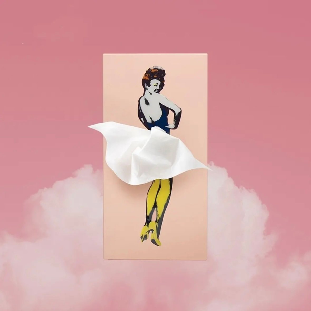 🔥LAST DAY 49% OFF🎁 - Flying Skirt Tissue Box