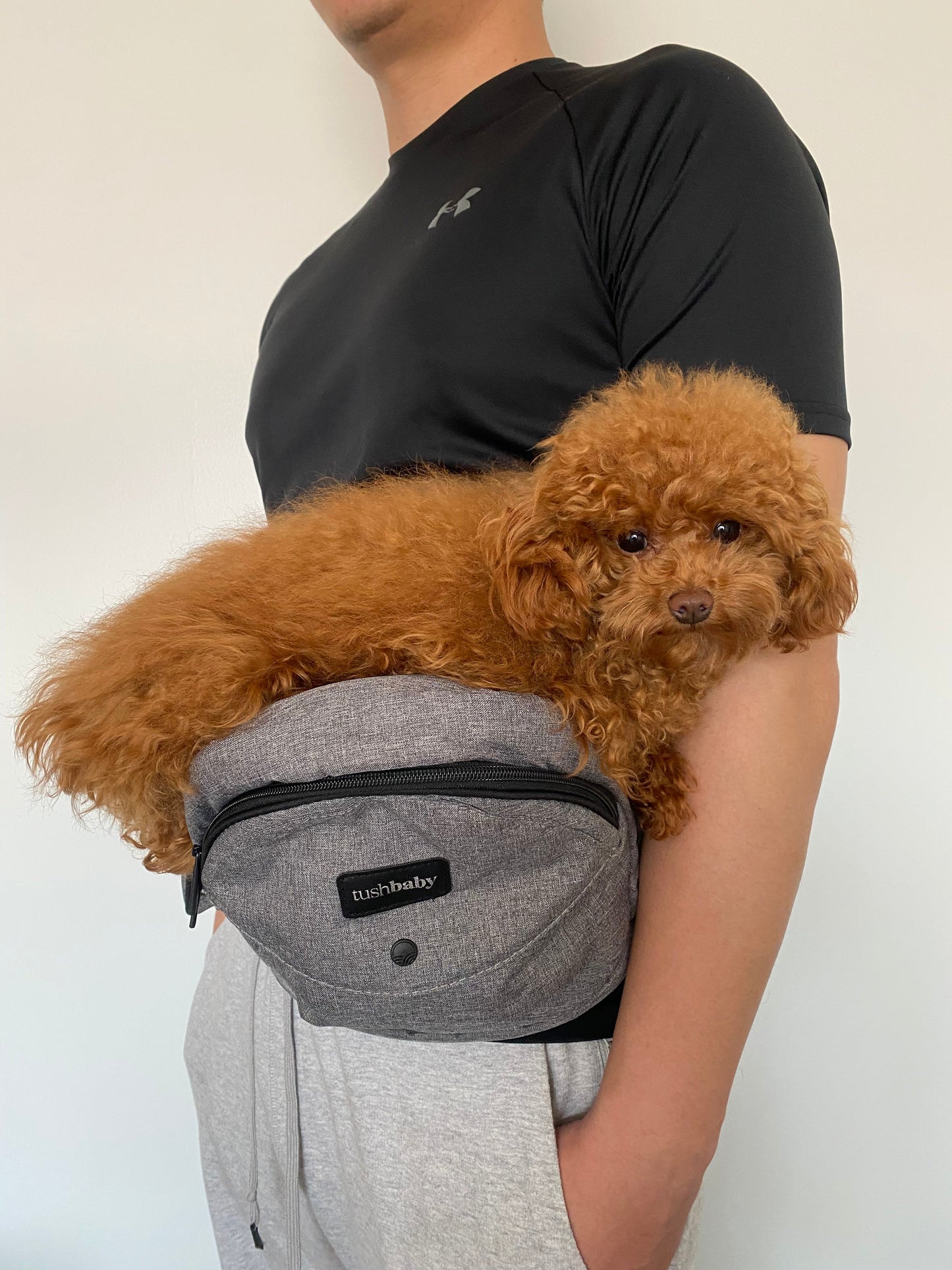 HIP CARRIER