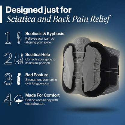 Back Support Belt