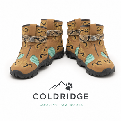 Protective Dog Shoes for Hot Pavement & Rough Terrain