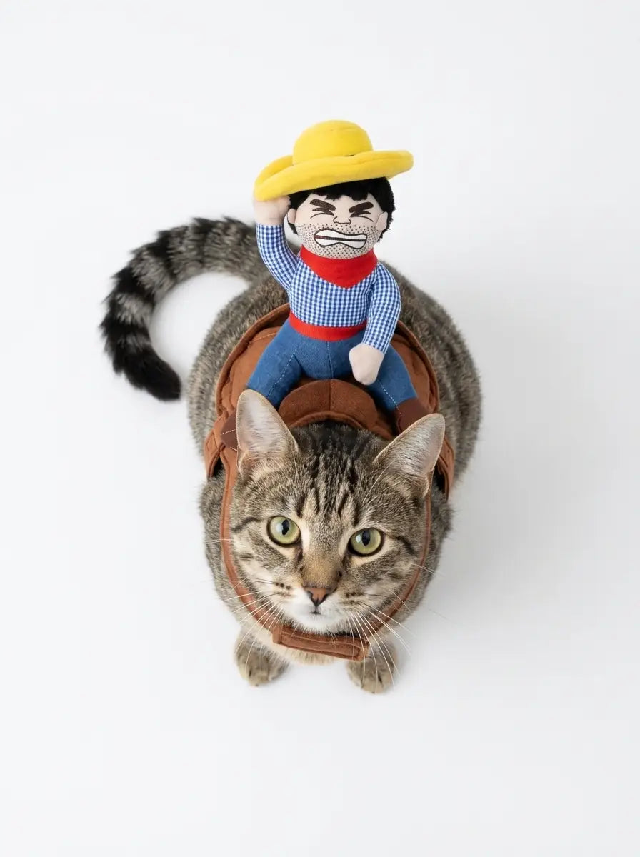 Sheriff Paws: The Ultimate Cowboy Cat Costume & Riding Outfit