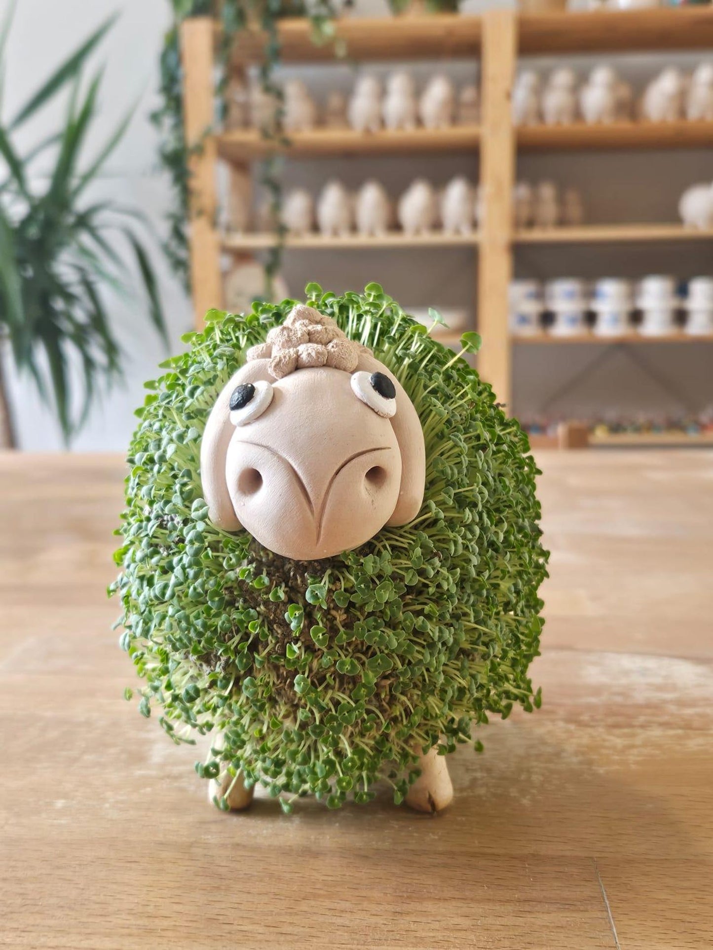 Mini Ceramic Plate for Sheep shaped micro-greening ceramic pot Chia-ko 4pcs