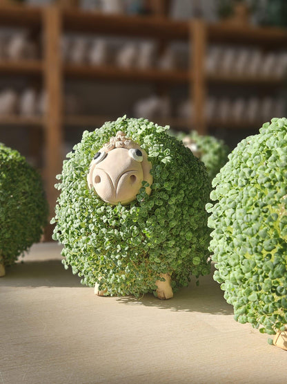 Mini Ceramic Plate for Sheep shaped micro-greening ceramic pot Chia-ko 4pcs